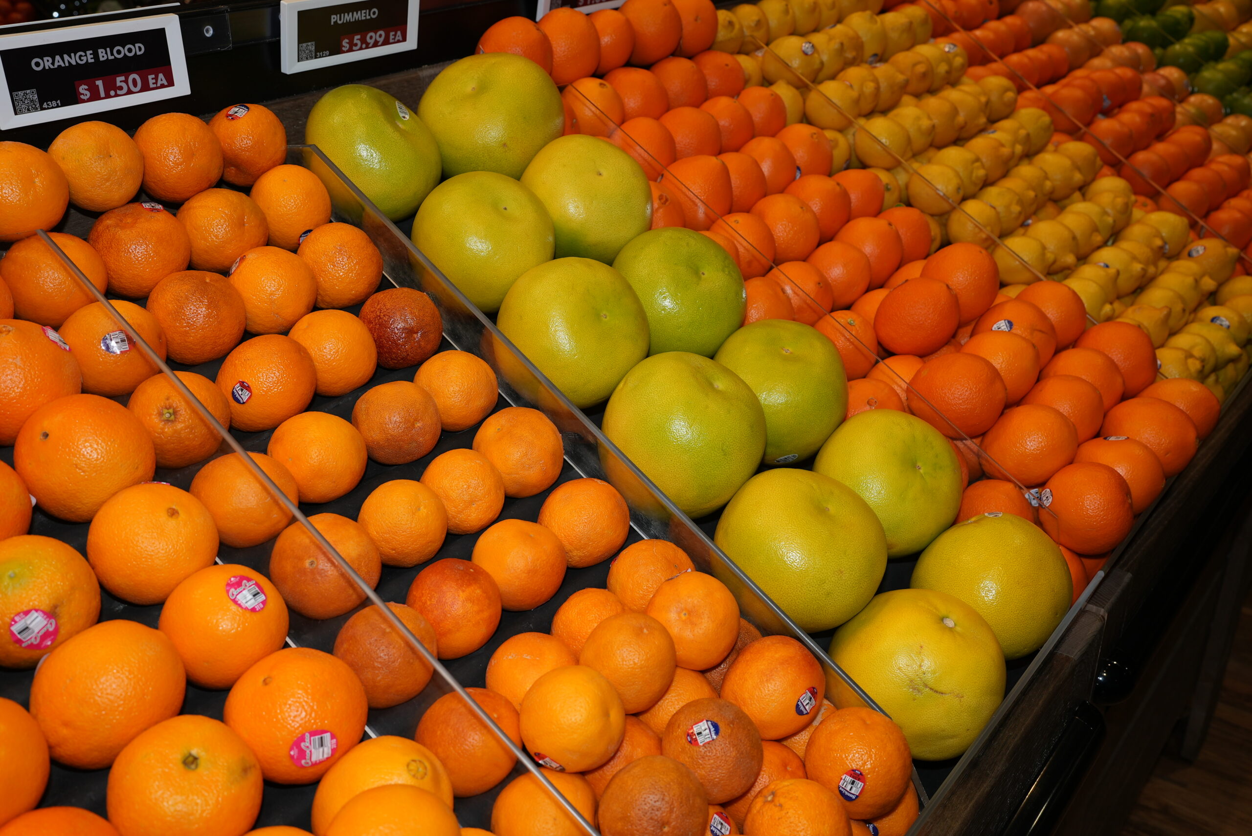 Oranges and lemons for sale at Livoti's Old World Market