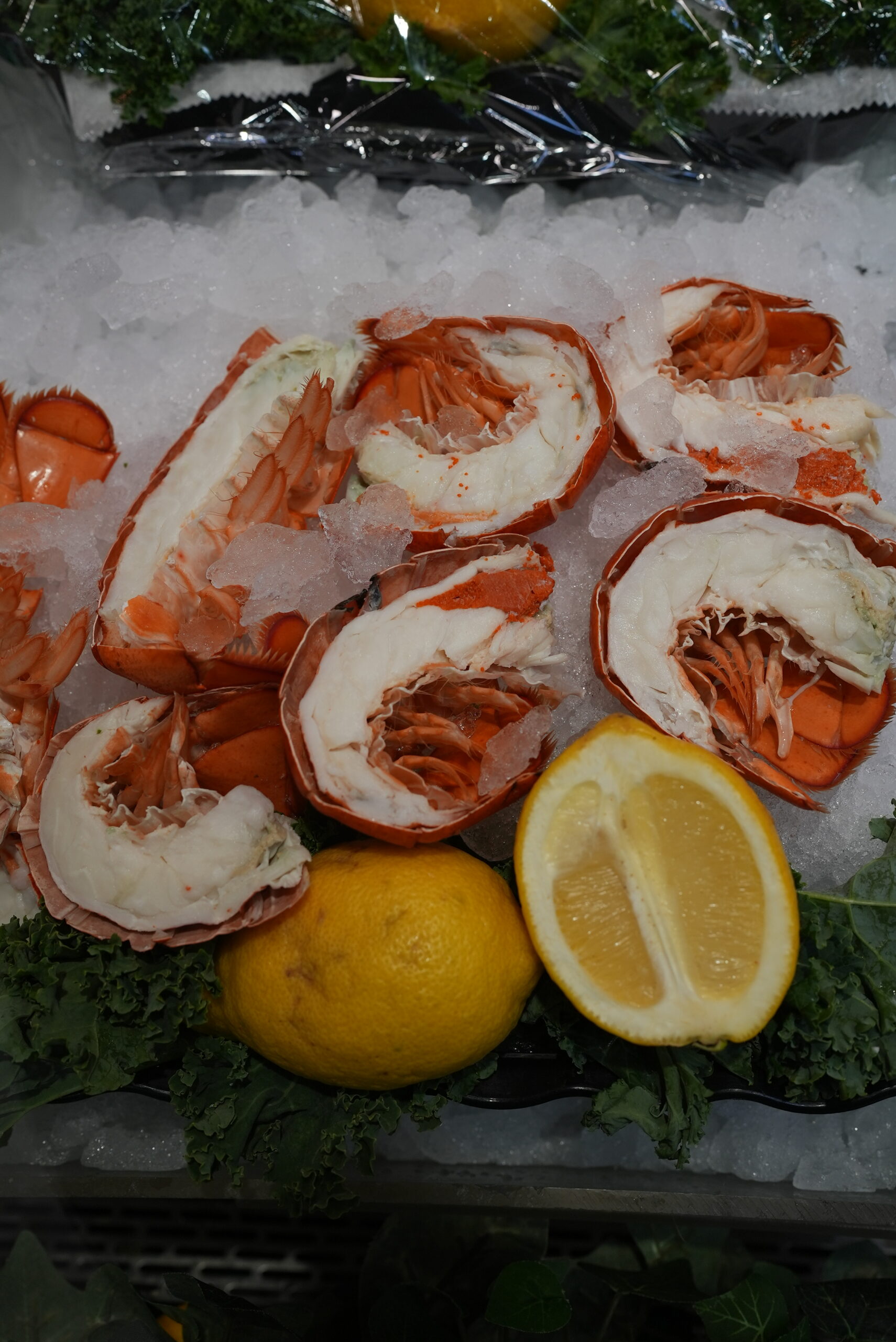 Fresh seafood for sale at Livoti's Old World Market